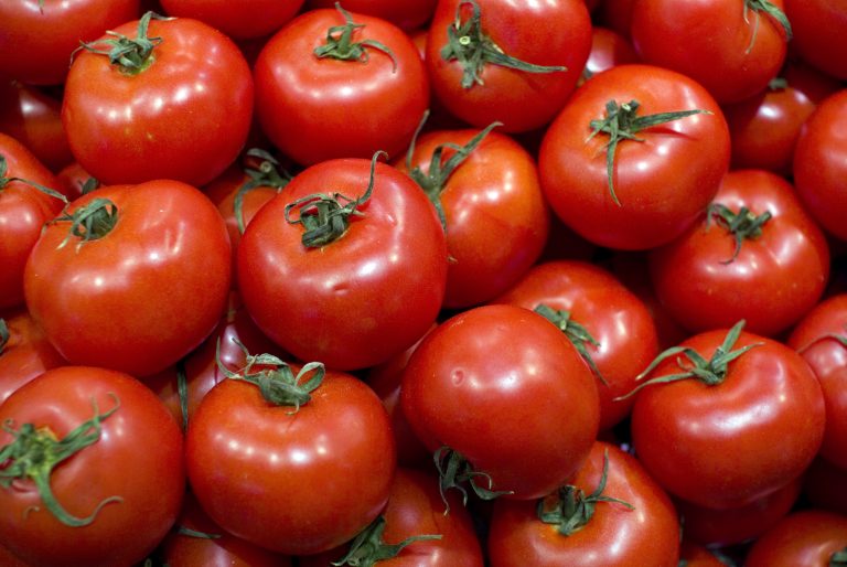 Tomate, o vermelhinho do bem!