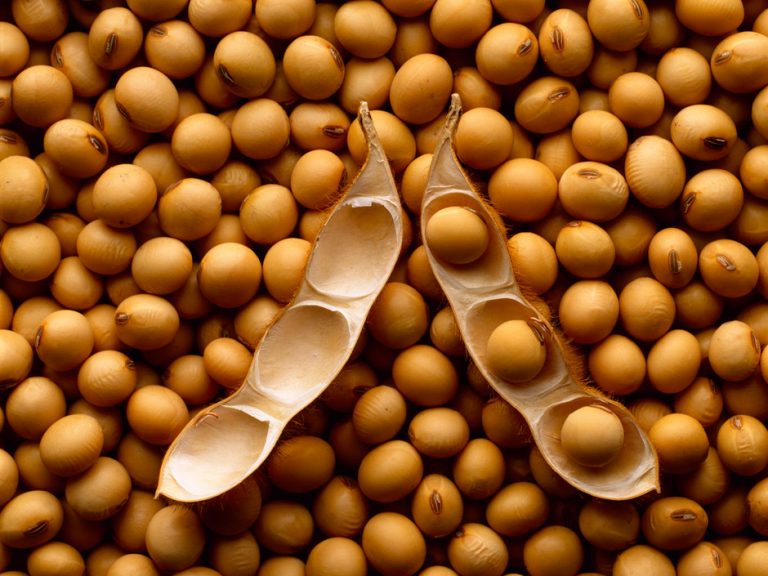 Por que a Soja é um alimento funcional?