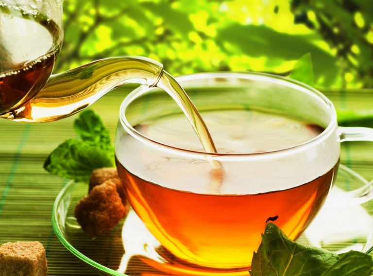 Especial Fitoterapia: Chá de Hortelã e Espinheira Santa